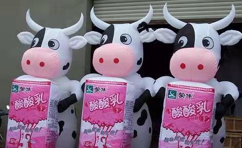 陇川牛奶厂广告气模